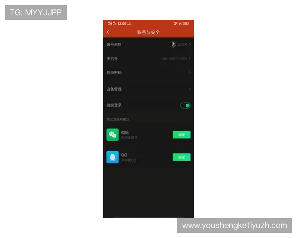 天博真人app克罗地亚官网安全登录与账号保护的实用技巧